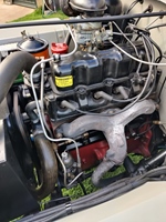 1956 Willys CJ3B oldtimer te koop