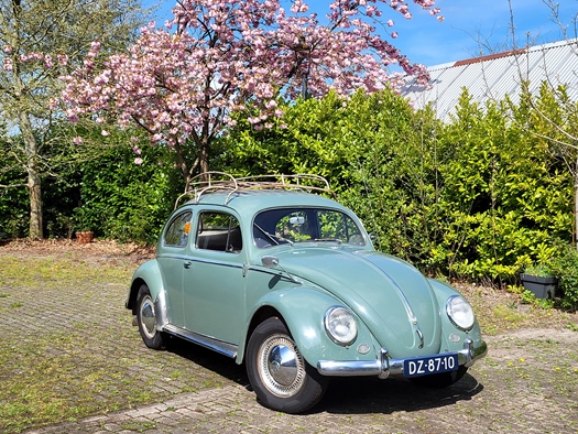 1957 Volkswagen kever ovaal oldtimer te koop