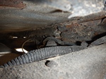 Toyota BJ42 Diesel oldtimer te koop