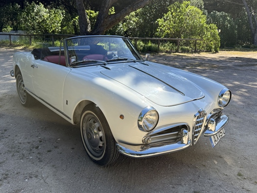 1960 Alfa Romeo Giulietta Spider oldtimer te koop