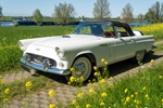 1956 Ford Thunderbird oldtimer te koop