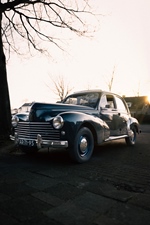 1956 Peugeot 203c oldtimer te koop