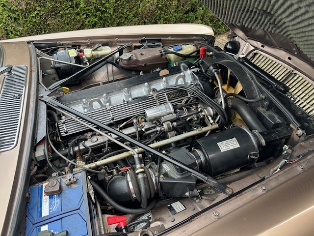 1986 Jaguar XJ6 sovereign oldtimer te koop