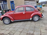 1975 Volkswagen Kever oldtimer te koop