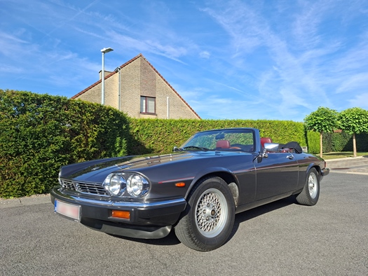 1989 Jaguar xjs v12 oldtimer te koop