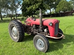 1959 Massey Ferguson MF 35 oldtimer tractor te koop