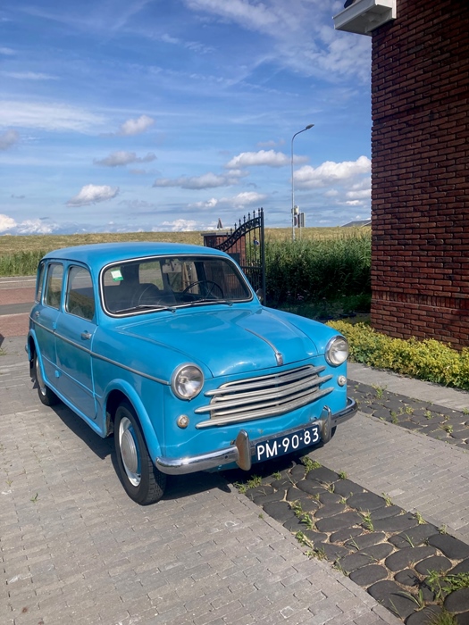 1955 Fiat 1100 Familiare oldtimer te koop