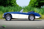1967 Austin-Healey 3000 Mk3 oldtimer te koop
