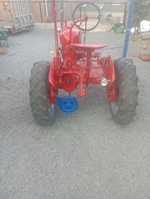 Farmall Cub oldtimer tractor te koop