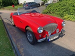 1954 Austin-Healey 100-4 BN1 oldtimer te koop