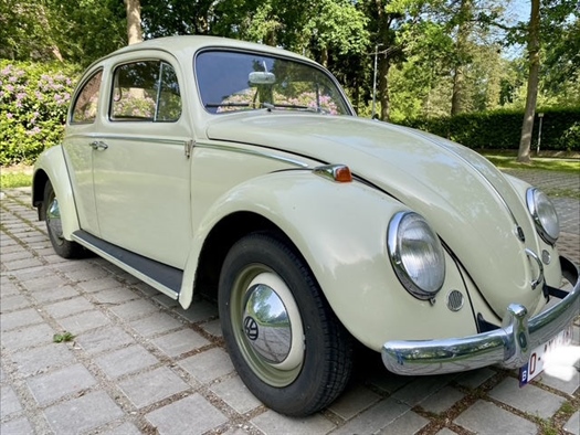 1960 Volkswagen Kever oldtimer te koop