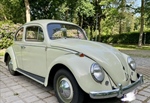 1960 Volkswagen Kever oldtimer te koop