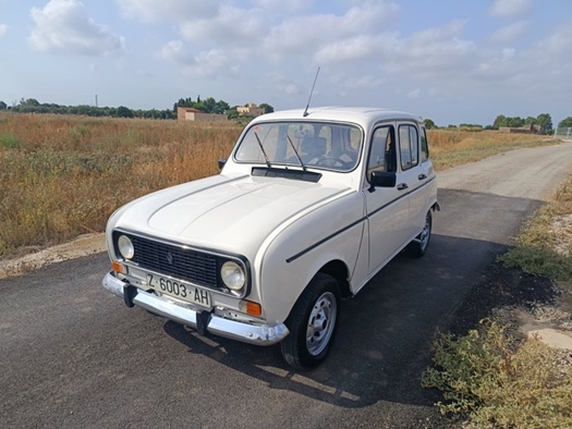 1989 Renault 4 TL oldtimer te koop
