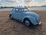 1966 Volkswagen Kever oldtimer te koop