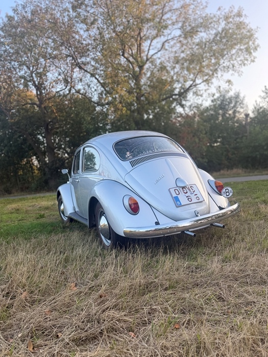 1965 Volkswagen Kever oldtimer te koop