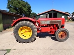 1964 Hanomag Robust 800 oldtimer tractor te koop