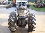 1953 Steyr 80S Vineyard oldtimer tractor te koop