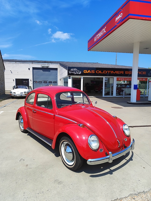 1964 Volkswagen kever oldtimer te koop