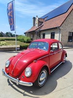 1964 Volkswagen kever oldtimer te koop