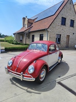 1962 Volkswagen kever oldtimer te koop