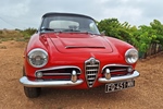 1964 Alfa Romeo Giulia oldtimer te koop