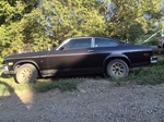 1975 Chevrolet Cosworth Vega oldtimer te koop
