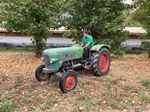 1965 Fendt Farmer 2 ca with air brakes and high road gear oldtimer tractor te koop