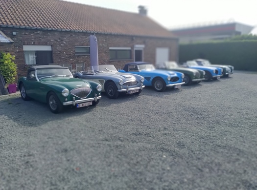 1960 Austin-Healey 3000 oldtimer te koop