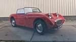 1961 Austin-Healey Sprite oldtimer te koop