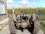 1952 Ferguson TED20 oldtimer tractor te koop