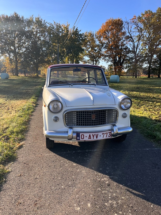 1961 Fiat 1100 speciaal  oldtimer te koop