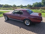 1968 Ford Mustang oldtimer te koop
