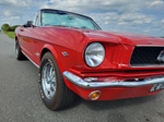 1966 Ford Mustang oldtimer te koop