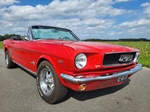 1966 Ford Mustang oldtimer te koop