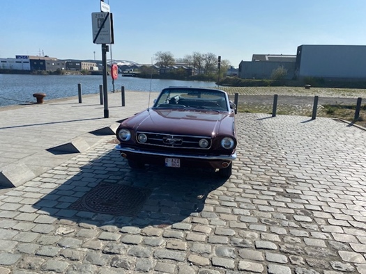 1964 Ford Mustang  oldtimer te koop