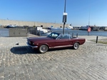 1964 Ford Mustang  oldtimer te koop