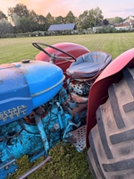 1955 Fordson Major oldtimer tractor te koop