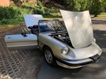 1984 Alfa Romeo Spider oldtimer te koop