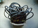 Ventilatorriem Morris en Triumph e.v.a. oldtimer te koop