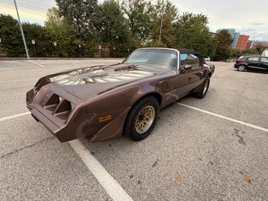 1979 Pontiac TRANS AM TA 6.6 oldtimer te koop