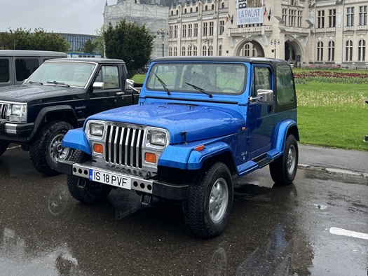 1991 Jeep Wrangler oldtimer te koop