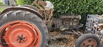 1950 Fordson e27n p6 oldtimer tractor te koop