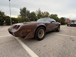 1979 Pontiac TRANS AM TA 6.6 oldtimer te koop