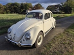 1955 Volkswagen Beetle "Oval" 1600 oldtimer te koop