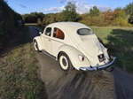 1955 Volkswagen Beetle "Oval" 1600 oldtimer te koop