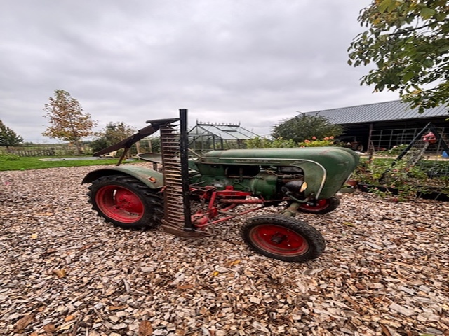 1956 Allgaier Porsche A111 oldtimer tractor te koop