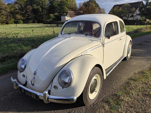 1955 Volkswagen Beetle "Oval" 1600 oldtimer te koop